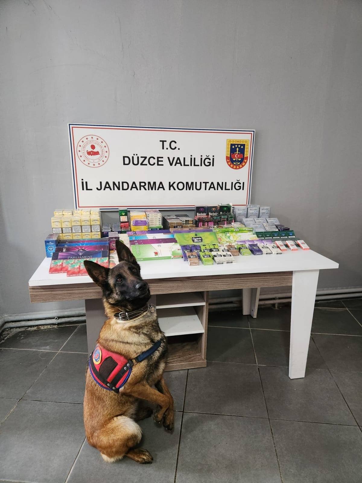 Düzce İl J.K.lığınca 09 Haziran – 15 Haziran 2025 tarihleri arasında İcra Edilen Faaliyetler